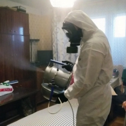 Дезинфекция от клопов в Липках