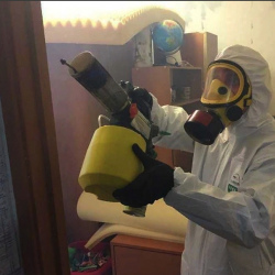 Уничтожение клопов в квартире. Липки